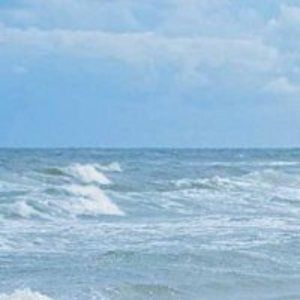 Meet your Posher, Muhammad